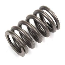 Engine Valve Spring (Updated)